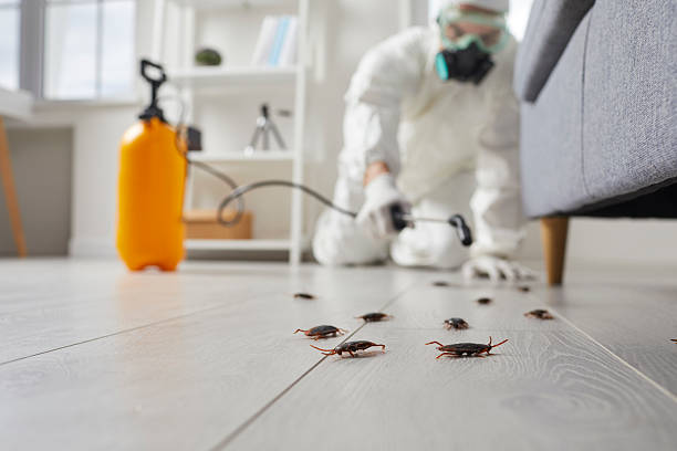 Post-Treatment Bed Bug Interceptor Monitoring in Roosevelt Gardens